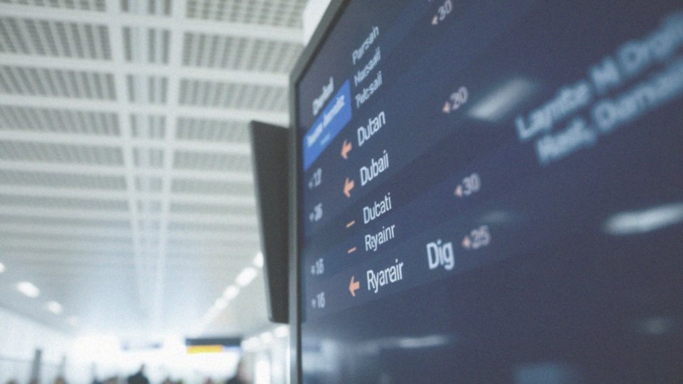Jakie są różnice w zarobkach stewardess w różnych liniach lotniczych?