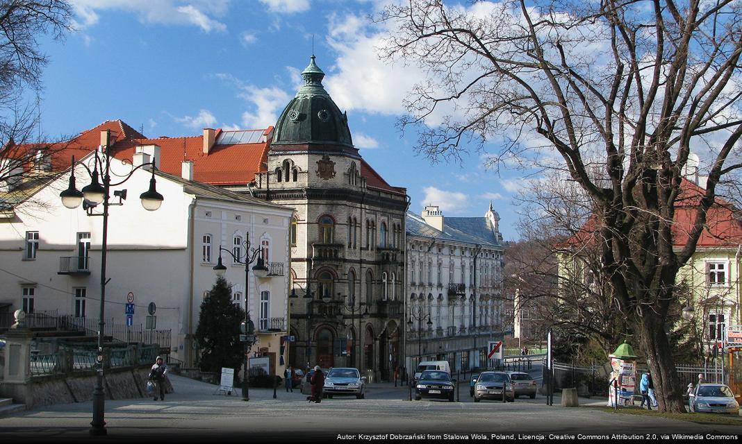 Ostrzeżenie o silnym wietrze w regionie Podkarpacia